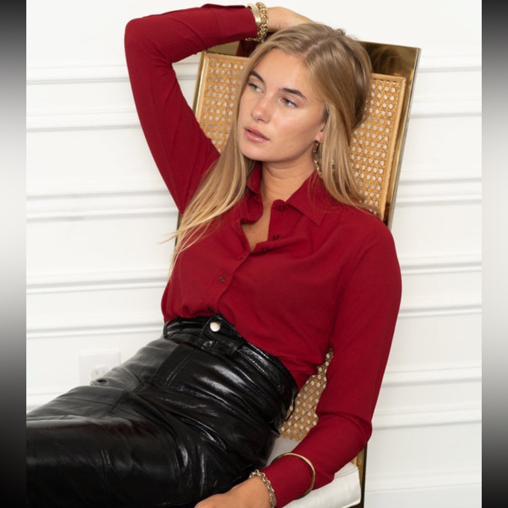 The Shirt Burgundy Button Down